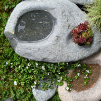Garten_02.jpg
