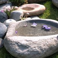 Garten_08.jpg