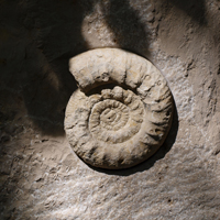Grabdenkmal_07.jpg